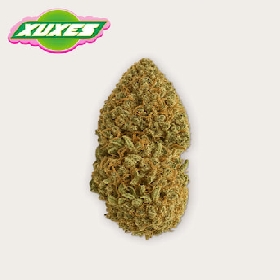 Critical Guava CBD > Xuxes
